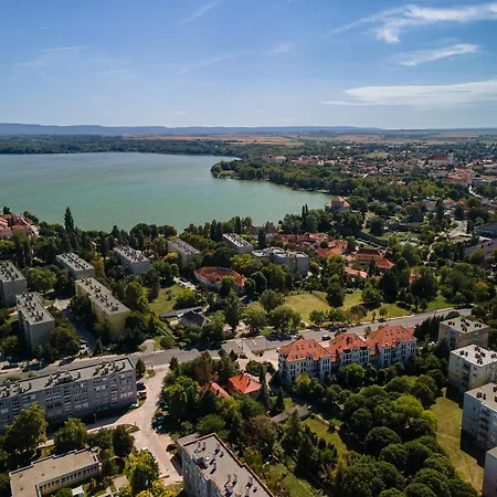 Anima Тата
